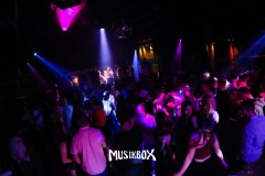 box039