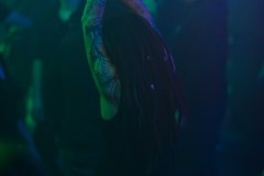 02-03-Box-18