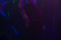 02-03-Box-19