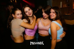 box038