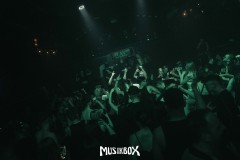 DSC03249
