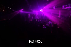 box100