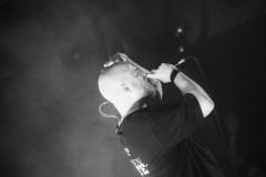 DSC5924