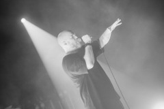 DSC6600