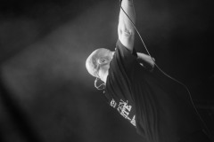 DSC6706