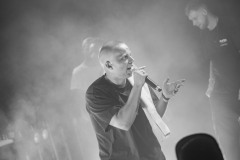 DSC6946