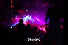 box019