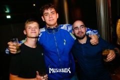 box231