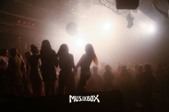box007