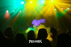 box036