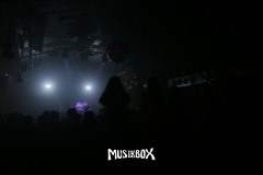 box111