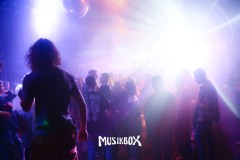 box036