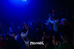 box077