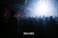 box047