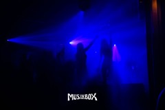 box099