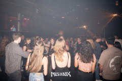 DSC9088