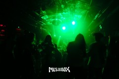 box069