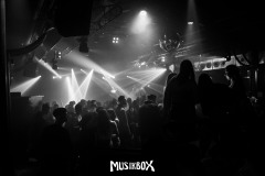 DSC00741