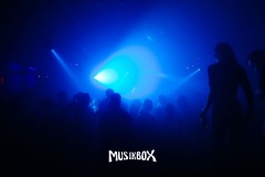 box103