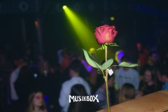 box039