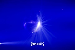 box062