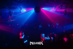 box047