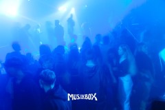 box033
