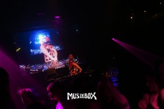 box017