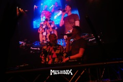 box038