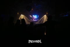 box088