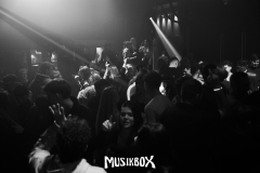 Gross-Singleparty-102