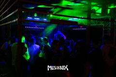 box197