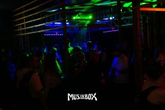 box219