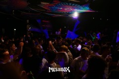 box228