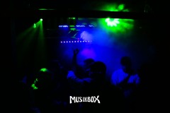 box237