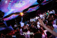 box242