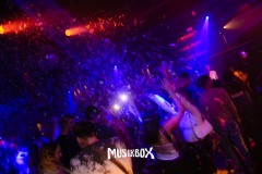 box033