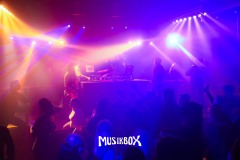 box036