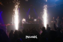 box038