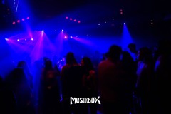 box038