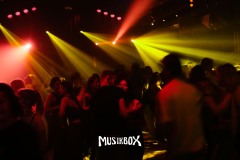 box039
