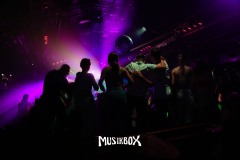 box135