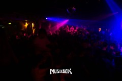 box034
