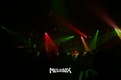 box081