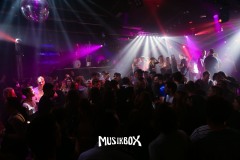 box035