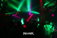 box039
