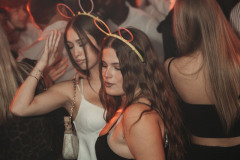 DSC08006